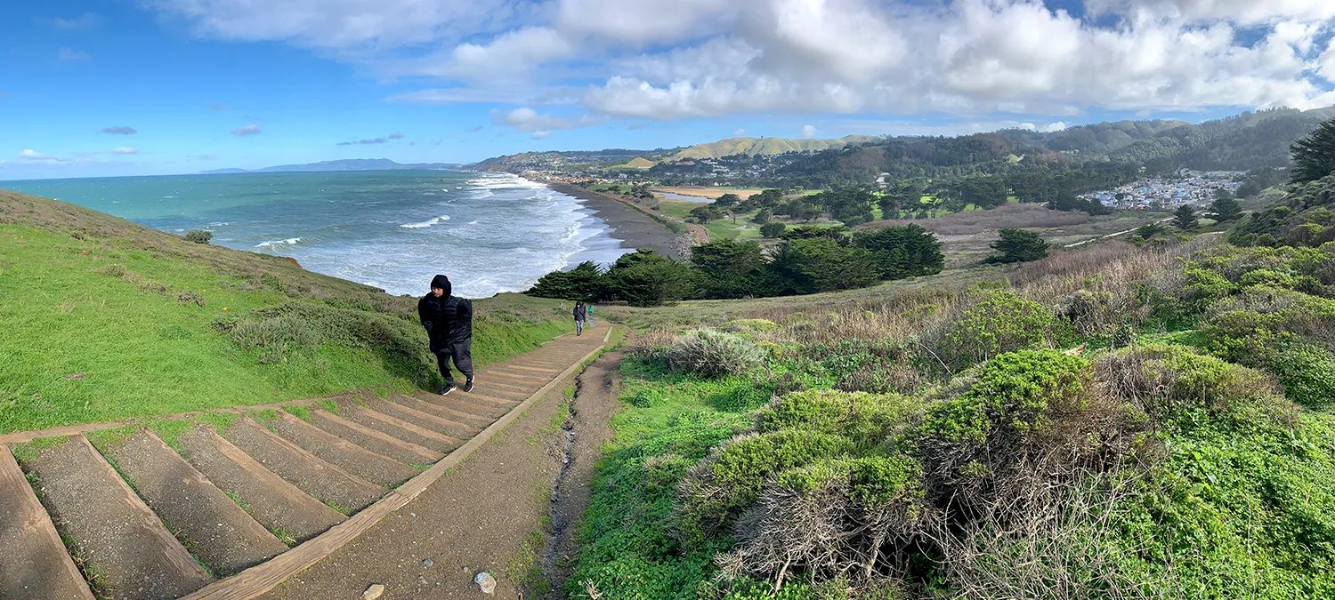 🌳 느티나무 숲(케야키노모리) 이미지 7